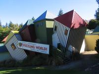 Albums/20060200-New Zealand 2006/20060209-Haast-Wanaka/28